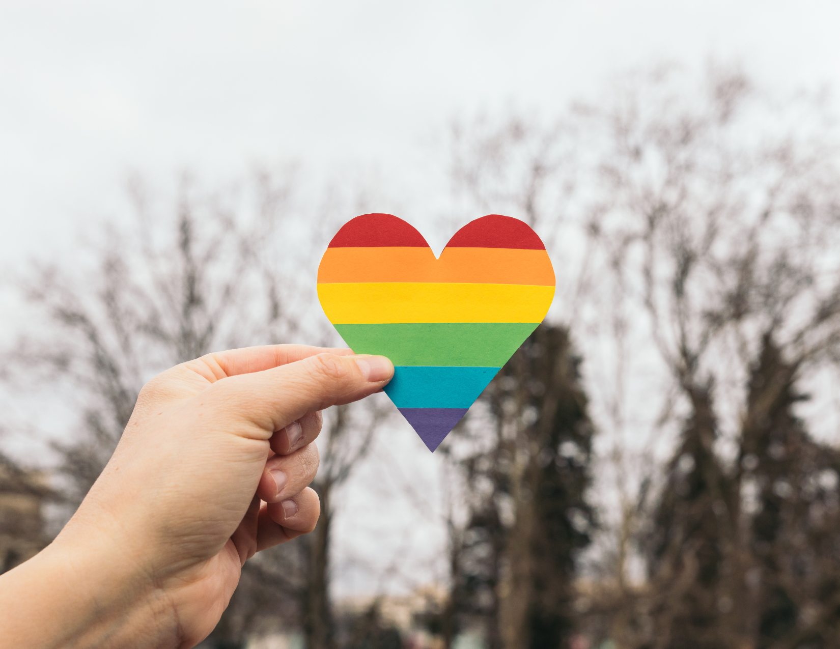 hand holding up rainbow heart with trees in the background